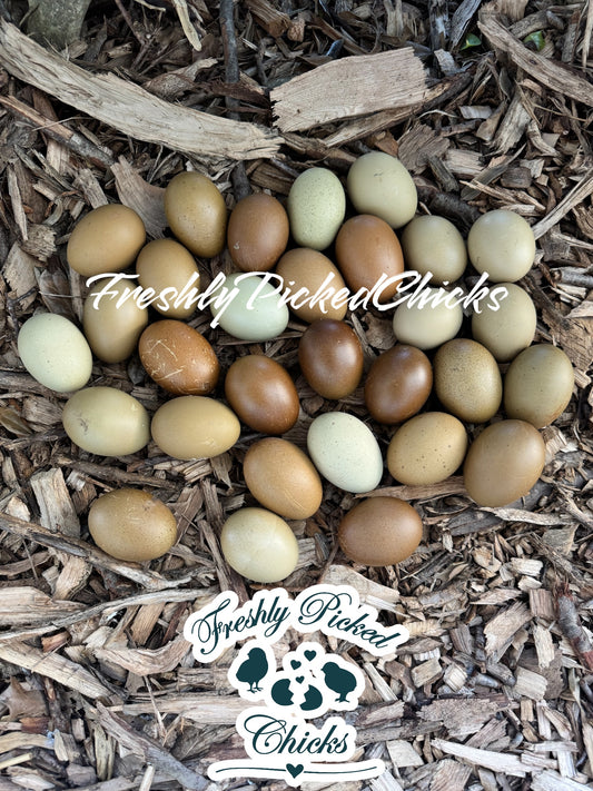 Fifty Shades of Green (OE collection)