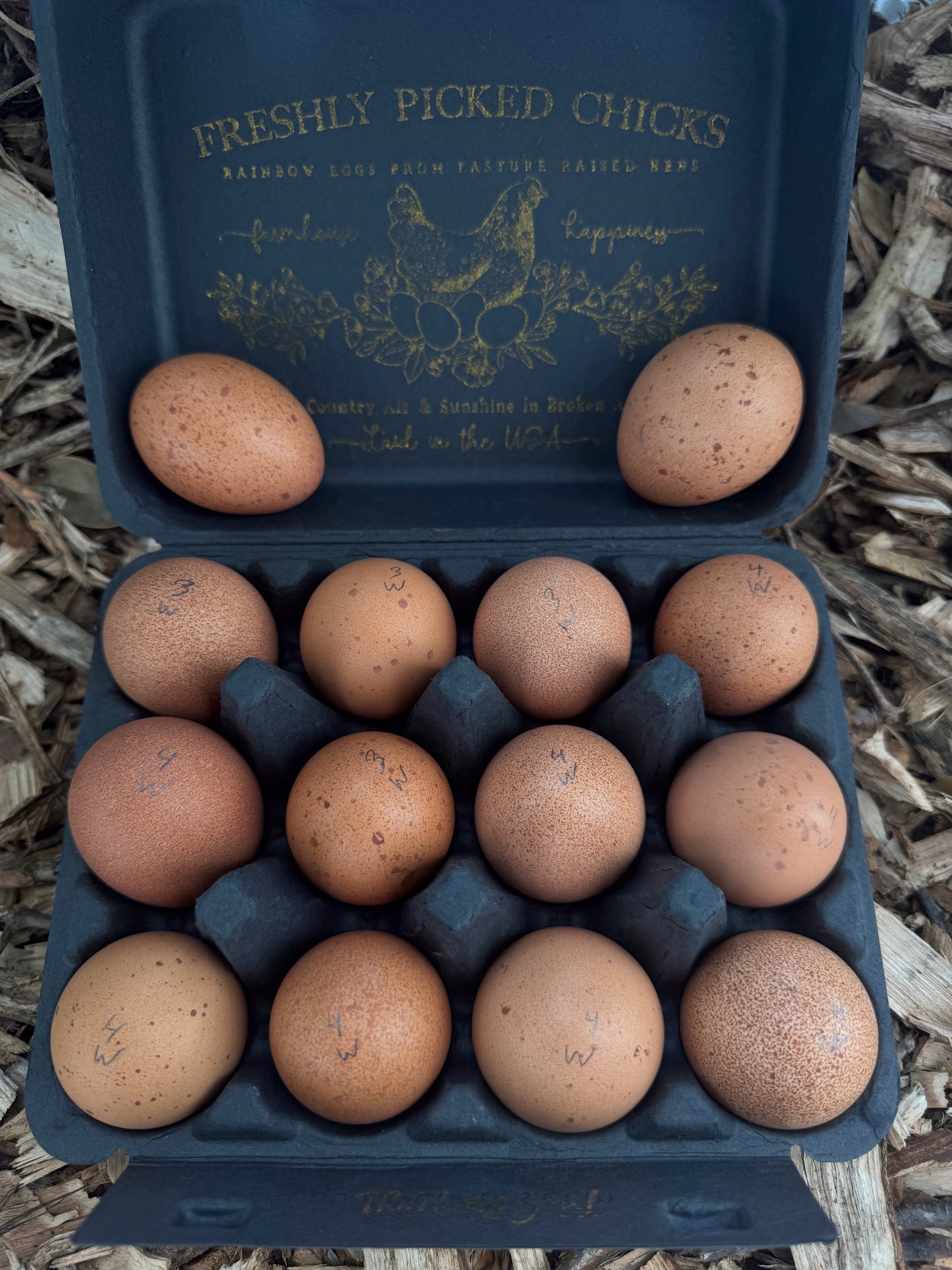 Welsummer Hatching Eggs