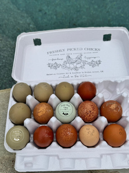 1 Dozen Farm Fresh Eating Eggs