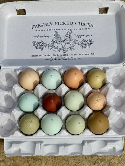 1 Dozen Farm Fresh Eating Eggs