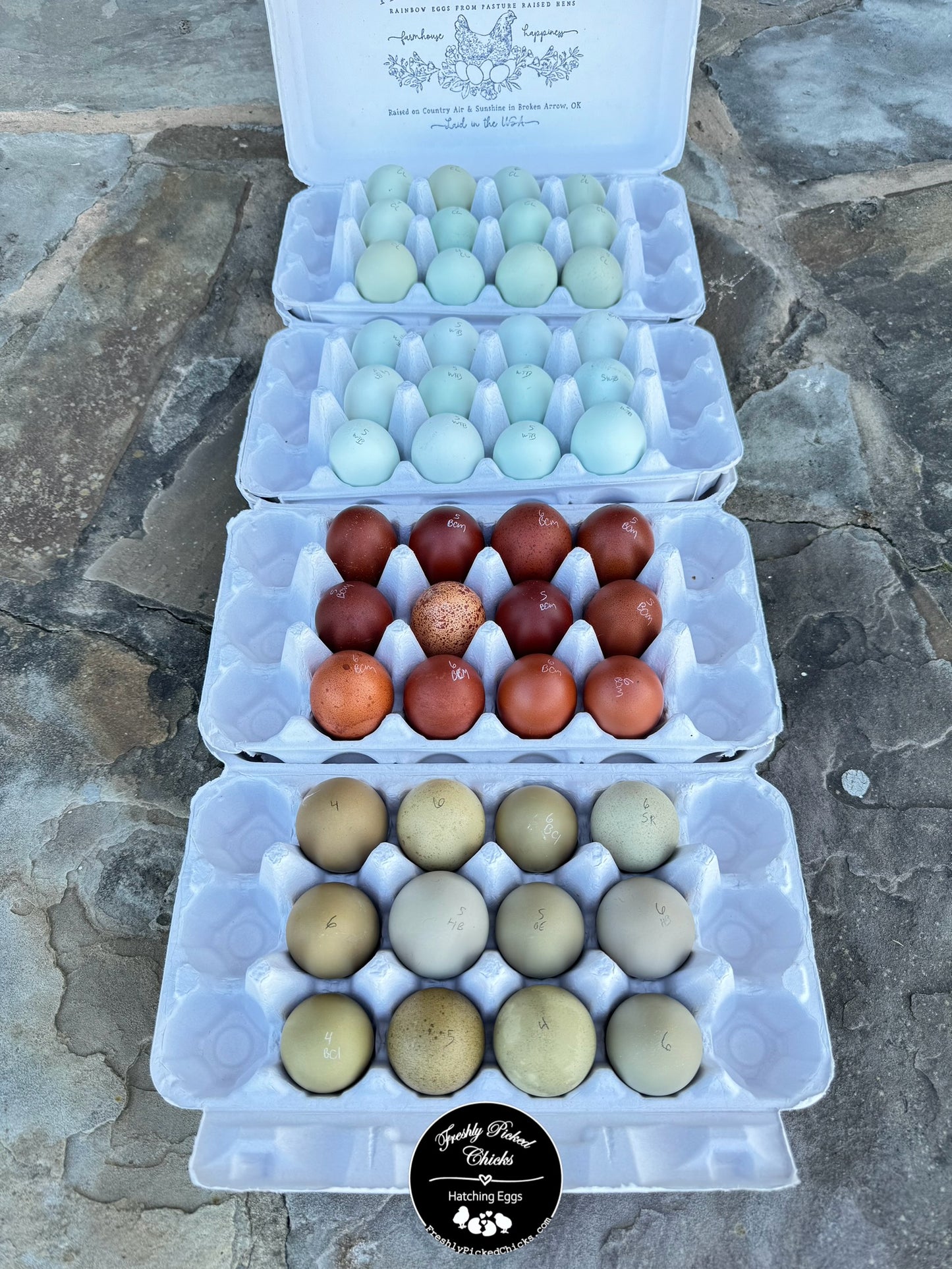 1 Dozen Farm Fresh Eating Eggs