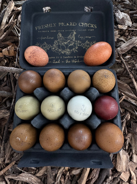 TODAY'S EXTRA  Fifty Shades of Green