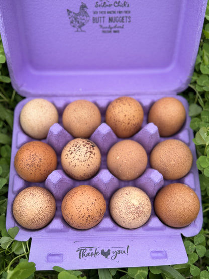 Welsummer Hatching Eggs