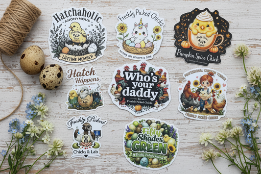 Sticker Pack Flat Lay